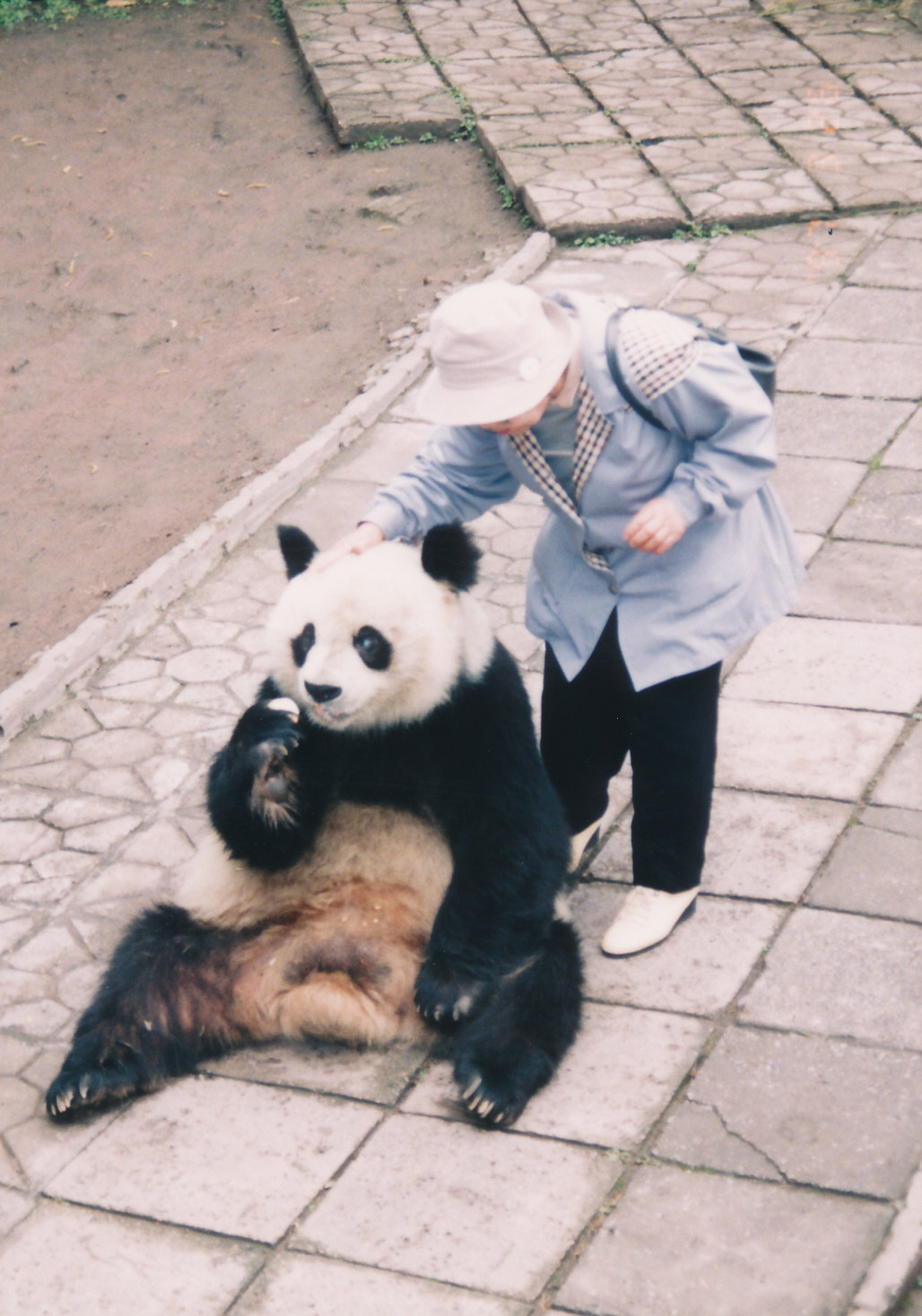 重慶パンダ公園で